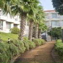 중문팡팡노래연습장 | 제주도 서귀포 숙소 추천 제주 중문 켄싱턴 리조트