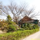 장군묘지 - 함양군 학사루2길 5-1 | 장군묘지