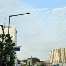 죠스떡볶이아현역점