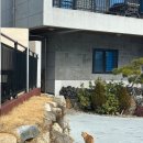 설리리조트 펜션 B동 | 남해펜션추천 설리리조트펜션 숙박 후기