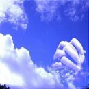 희망의아침 이미지