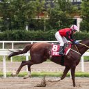 청담-138 이미지