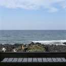 주식회사 남경제주에너지 | 제주도 블로그 홍보 믿고 맡기는 곳