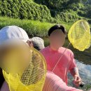 성주쉴만한물가 이미지