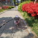 길따라행복