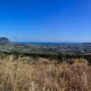 하모체육공원 이미지