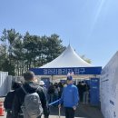 2025 KLPGA 두산위브 챔피언십 개막전 갤러리 후기 (이예원 이글 우승)