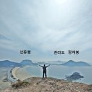 새만금 무궁화공원 티스토리