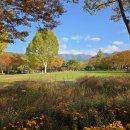 대구광역시 달서구 대곡동 (대구수목원.국화전시회) 탐방 이미지