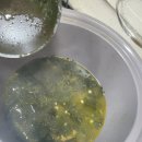 마이한우 | ( 내돈내산) 마이셰프 한우소고기미역국 구입후기 입니다.