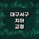 대구 서구 치아교정 잘하는 전문치과 병원 추천 | 비용 후기 설측교정 돌출입 앞니 투명 무턱 부분...