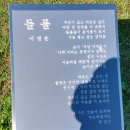 이영춘「들풀」 이미지