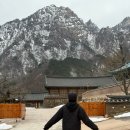 설악산 속초 신흥사 여행 후기 🧘🏼 | 템플스테이 가능한 힐링 사찰 추천