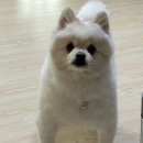 오넨