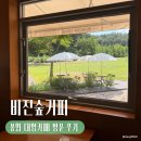 진커피숲 | [봉화] 푸른 정원이 예쁜 대형 카페 비진숲커피 내돈내산 방문 후기