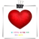 사랑이네 이미지