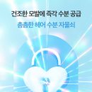 아쿠아헤어 이미지