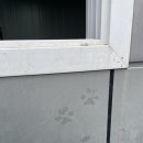 원브리스 이미지