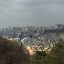 충효큰마을 티스토리