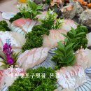 애월 횟집 모듬회 추천 | 애월항포구횟집 본점 코스요리 후기