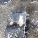 학 조형물 이미지