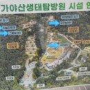 봉양로-1 이미지