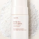 식물나라 이미지