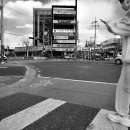 대둔산로 이미지