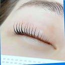 세븐일레븐 의정부 평화점 | 의정부 속눈썹 구세주 만났다! 이거 완전 인생템 아님?