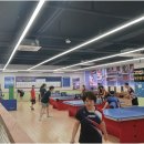 탁구365