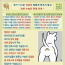 쿨펫이마트 목동점 동물병원 이미지