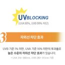 피카소안경콘택트 이미지