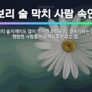 하루 죽을 줄은 모르고 열흘 살 줄만 안다 : 이미지