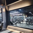 퍼시스트 피트니스 이미지