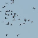 갈대정원 이미지