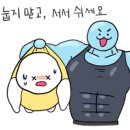 511짐 이미지