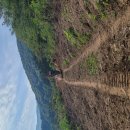 시월에농장 이미지