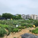 월암농장 이미지