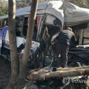 고향베트남클럽 이미지