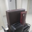 옴 에스테틱