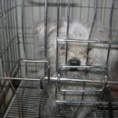 보라매동-21 이미지