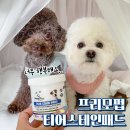 주식회사 케이시 | 강아지눈물자국 프리모펍으로 6개월만에 없앤 썰 풉니다!!