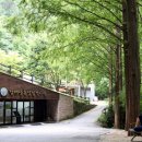 장태산 자연 휴양림 이미지