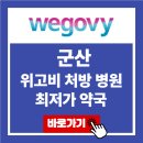 군산 위고비 처방 병원 최저가 약국 가격 비교 가장 싼 곳 후기