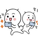 카페608