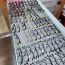 바슈롬레이셀오로라브라운 산 후기
