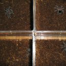 중동역(1호선) 이미지