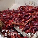 엄마떡방앗간 이미지