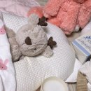 아이끌레르 | 고체탈취제추천 | 아이와 반려동물 있는 집에서도 안심, 가넬 에어끌레르 고체 탈취제 후기