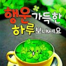 굿모닝24 Daum카페